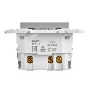 Штепсельная розетка встраиваемая IEK SKANDY 16А SK-R14-16-U14-018-K23 SK-R17S с з/к и шторками с USB A+C 18Вт серебряный