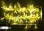 гирлянда НИТЬ 10W мерцающий Желтый  RL-S10CF-24V-CT/Y, прозрачный провод 10 м., соединяемая, 24V, 100 Led, IP65