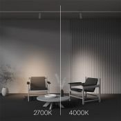 Трековый светильник 20W Белый теплый TR198-3-20W2.7K-Z-W Фокус Зум / Focus Zoom Trinity IP20 белый