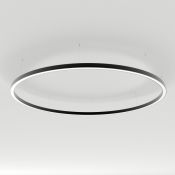 светильник 23W Белый дневной 037388 SP-LINE-HANG 3653-1002-HANG 230V IP20 круглый ANOD светильник 23W Белый дневной 037388 SP-LINE-HANG 3653-1002-HANG 230V IP20 круглый ANOD