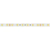 Светодиодная лента Белый теплый 5060 24V 14.4W/m  60Led/метр 008828(3) RT-B60-10mm LUX