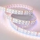 Светодиодная лента RGBW 24V 32W/m RT-B144-19mm RGB- Белый теплый 2x2 (5060, 720 LED) 012327(3) LUX