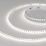 Светодиодная лента Белый дневной 2835 24V  9.6W/m 160Led/метр 037801 RT-A160-5mm 5000K  LUX