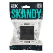 Розетка встраиваемая компьютерная двойная IEK SKANDY SK-K20-2-K48 SK-K04T RJ45 кат.6 титан