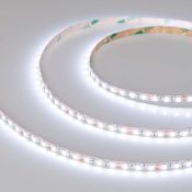 Светодиодная лента змейка Белый холодный 2835 12V 12W/m  120Led/метр 036453 RZ-A120-6mm
