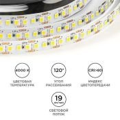 Светодиодная лента Белый дневной 2835 12V 14.4W/m 180Led/метр LSE-263 Эконом 10мм IP20 Светодиодная лента Белый дневной 2835 12V 14.4W/m 180Led/метр LSE-263 Эконом 10мм IP20