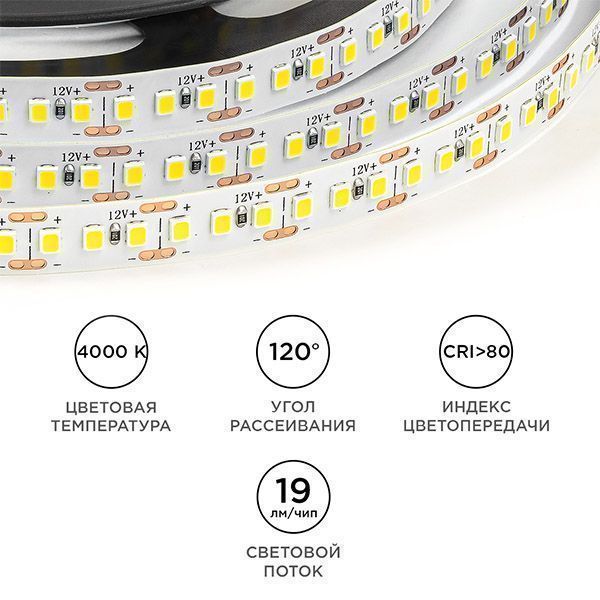 Светодиодная лента Белый дневной 2835 12V 14.4W/m 180Led/метр LSE-263 Эконом 10мм IP20 Светодиодная лента Белый дневной 2835 12V 14.4W/m 180Led/метр LSE-263 Эконом 10мм IP20