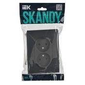 Штепсельная розетка встраиваемая двойная IEK SKANDY 10А SK-R20-10-K48-F SK-R10T без з/к без шторок в сборе титан
