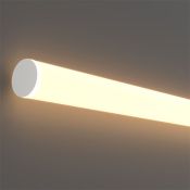 Гибкий неон   72W Белый теплый NEMO 201146 360° D18 24V IP65 3000K