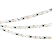 Светодиодная лента 12V 12W/m 039597 SPI-SE-B60-10mm (5060, 300 LED, 5m) герм. (силикон)