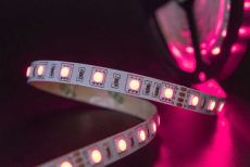 Светодиодная лента RGB 5050 24V 14.4W/m 60Led/метр 009271 SWG560-24-14.4-RGB-M