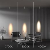 Накладной светильник  12W Белый теплый C055CL-L12W3K-SS-W Фокус/FOCUS LED 220V  цилиндр белый