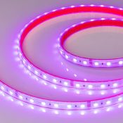 Светодиодная лента RGB 5060 24V 14.4W/m  60Led/метр герм (силиконовая трубка) 021400(2) RTW-PS-B60  LUX IP67