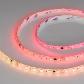 Светодиодная лента 24V 12W/m 039601 SPI-SE-B60-10mm (5060, 300 LED, 5m) герм. (силикон)