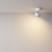Накладной светильник  12W Белый теплый C024CL-12W3K-W-1 Онда / Onda 220V белый