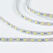 Светодиодная лента Белый холодный 5050 12V 14.4W/m 60Led/метр 00-00007265 SWG560-12-14.4-W-M 6500K стандарт