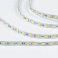 Светодиодная лента Белый холодный 5050 12V 14.4W/m 60Led/метр 00-00007265 SWG560-12-14.4-W-M 6500K стандарт