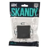 Выключатель встраиваемый двухклавишный IEK SKANDY SK-V20-0-10-K48 SK-V04T титан
