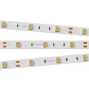 Светодиодная лента Белый теплый 5060 12V 30Led/метр 010594 RT 2-5000 LUX Светодиодная лента Белый теплый 5060 12V 30Led/метр 010594 RT 2-5000 LUX