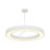 Подвесной светильник  60W Белый дневной DWR-1003D8.8-60-NW 220V IP20 круглый белый