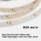 Светодиодная лента Белый теплый 2835 12V  8W/m 60Led/метр 00-120 Стандарт 10мм IP20