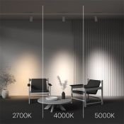 Трековый светильник 30W Белый теплый - белый дневной TR197-3-30WCCT-M-W Фокус / Focus Led Trinity IP20 белый