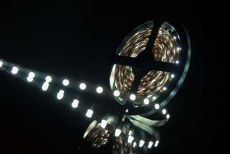 Светодиодная лента Белый 2835/3528 12V  4.8W/m  60Led/метр 00000000005 SWG360-12-4.8-W