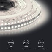 Светодиодная лента Белый дневной 2835 24V 18W/m 120Led/метр 00-313 PRO 10мм IP20 Светодиодная лента Белый дневной 2835 24V 18W/m 120Led/метр 00-313 PRO 10мм IP20