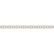 Светодиодная лента Белый дневной 2216 24V 21.6 W/m 300Led/метр 023588(1) MICROLED-M300-10mm 5000K  LUX