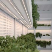 фитолента 2835  24V 14W/m 144Led/метр 038170 FITOLUX-SE-A144-10mm 4000K/red белый дневной/красный IP65