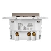 Штепсельная розетка встраиваемая IEK SKANDY 16А SK-R14-16-U14-018-K37 SK-R17Sh с з/к и шторками с USB A+C 18Вт шампань