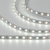 Светодиодная лента Белый холодный 5050 12V 14.4W/m 60Led/метр 00-00007265 SWG560-12-14.4-W-M 6500K стандарт