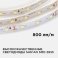Светодиодная лента Белый дневной 2835 12V  8W/m 60Led/метр 00-130 Стандарт 10мм IP20 Светодиодная лента Белый дневной 2835 12V  8W/m 60Led/метр 00-130 Стандарт 10мм IP20