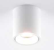 Накладной светильник 12W Белый теплый DORN R WHITE 220V диммируемый цилиндр белый Накладной светильник 12W Белый теплый DORN R WHITE 220V диммируемый цилиндр белый