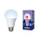 светодиодная лампа шар  A60 Белый 13W UL-00004022 LED-A60-13W/DW/E27/FR/NR Norma Volpe