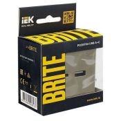 Розетка встраиваемая USB IEK BRITE A+C 18Вт BR-U22-018-K37 РЮ11-1-БрШ шампань