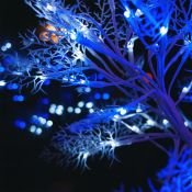 дерево светодиодное 4W МОРОЗКО UL-00001400 ULD-T3550-054/SWA WHITE-BLUE IP20 FROST