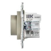 Термостат электронный с подсветкой SK-T01B бежевый SK-RT11-K10 в комплекте со стеклянной рамкой SKANDY IEK