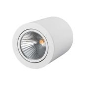 Накладной светильник  16W Белый дневной 021426 SP-FOCUS-R120-16W 220V цилиндр белый