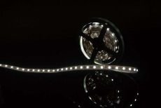 Светодиодная лента Белый холодный 5060 12V 14.4W/m 60Led/метр 00-00009263 SWG560-12-14.4-UW-M