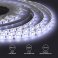 Светодиодная лента  Белый 5050 12V 14.4W/m 60Led/метр герм (силикон) 259BL Стандарт 1м IP65 блистер