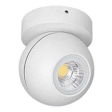 светильник   8W Белый теплый 051006 GLOBO LED 220V IP65  круглый накладной белый