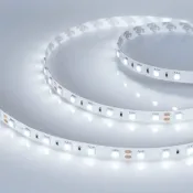 Светодиодная лента Белый холодный 5060 24V 14.4W/m  60Led/метр 013757(2) RT-B60-10mm 8000K 2x  LUX