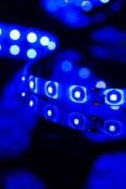 Светодиодная лента Синий 3528 12V  4.8W/m 60Led/метр герм (силикон) 00-00009250 SWG360-12-4.8-B-65-M