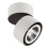 Накладной светильник  40W Белый теплый 213850 FORTE MURO LED 30deg 220V IP65 откидной поворотный круглый белый