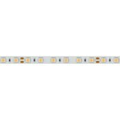 Светодиодная лента Белый теплый 5060 24V 14.4W/m 60Led/метр 021421(2) RT-B60-10mm CRI98