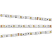 Светодиодная лента MIX 24V RT6-5050-60 RGB- Белый теплый 2x (300 LED) 018327 LUX