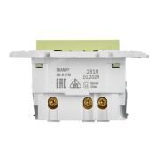 Штепсельная розетка встраиваемая IEK SKANDY 16А SK-R14-16-U14-018-K06 SK-R17G с з/к и шторками с USB A+C 18Вт мятный