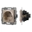 Штепсельная розетка встраиваемая Arlight SCT-MEU1-PL-GD-V 16А 049817 с з/к светлое золото