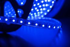 Светодиодная лента Синий 5060 220 14.4W/m 60Led/метр герм 00000000942  LT560-B-50 IP68